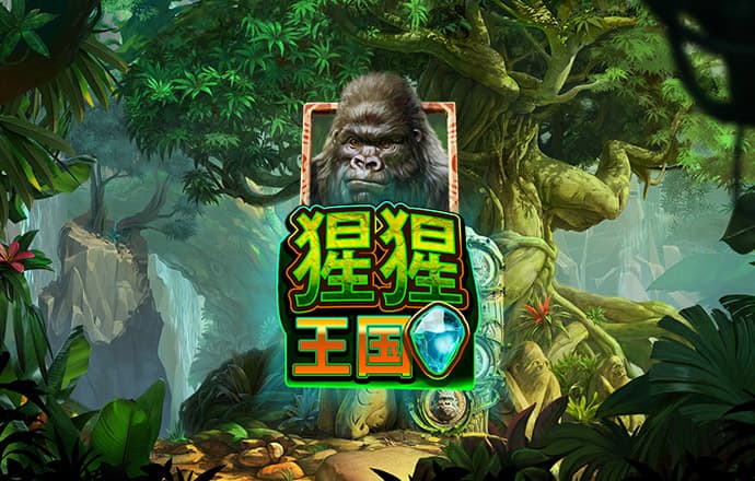 kb体育网页版登录